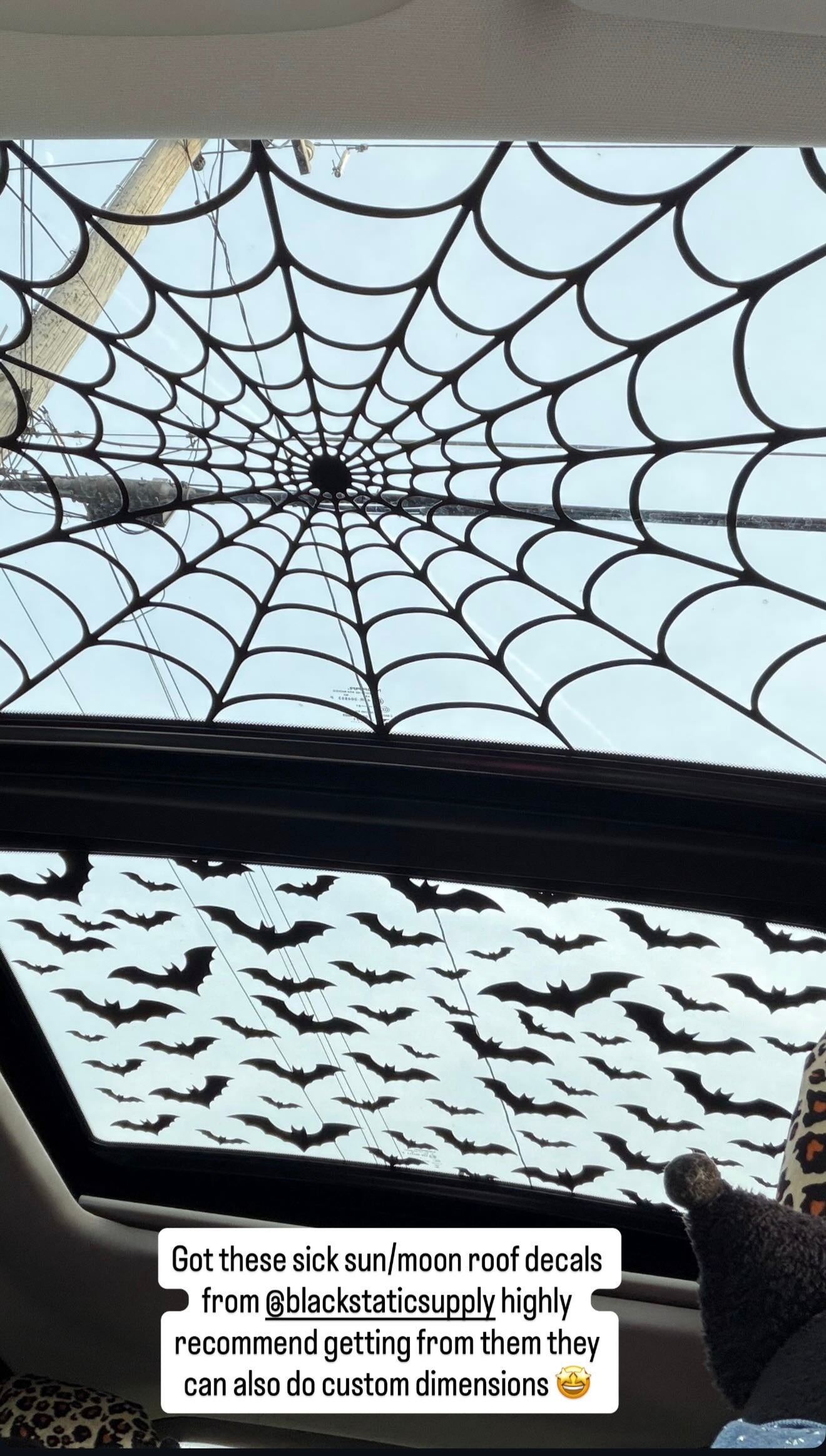 Spiderweb Sunroof Decal