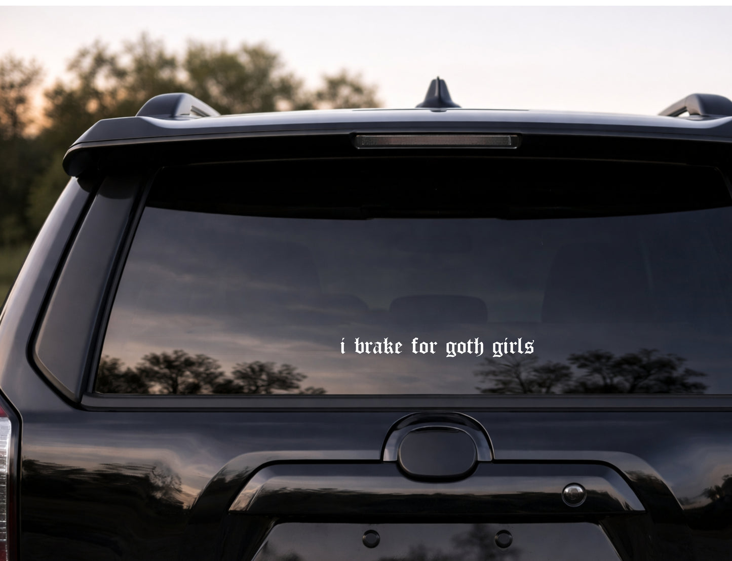 I Brake For Goth Girls